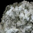 Calcite, Pyrite and Quartz Association - Morocco #57280-1